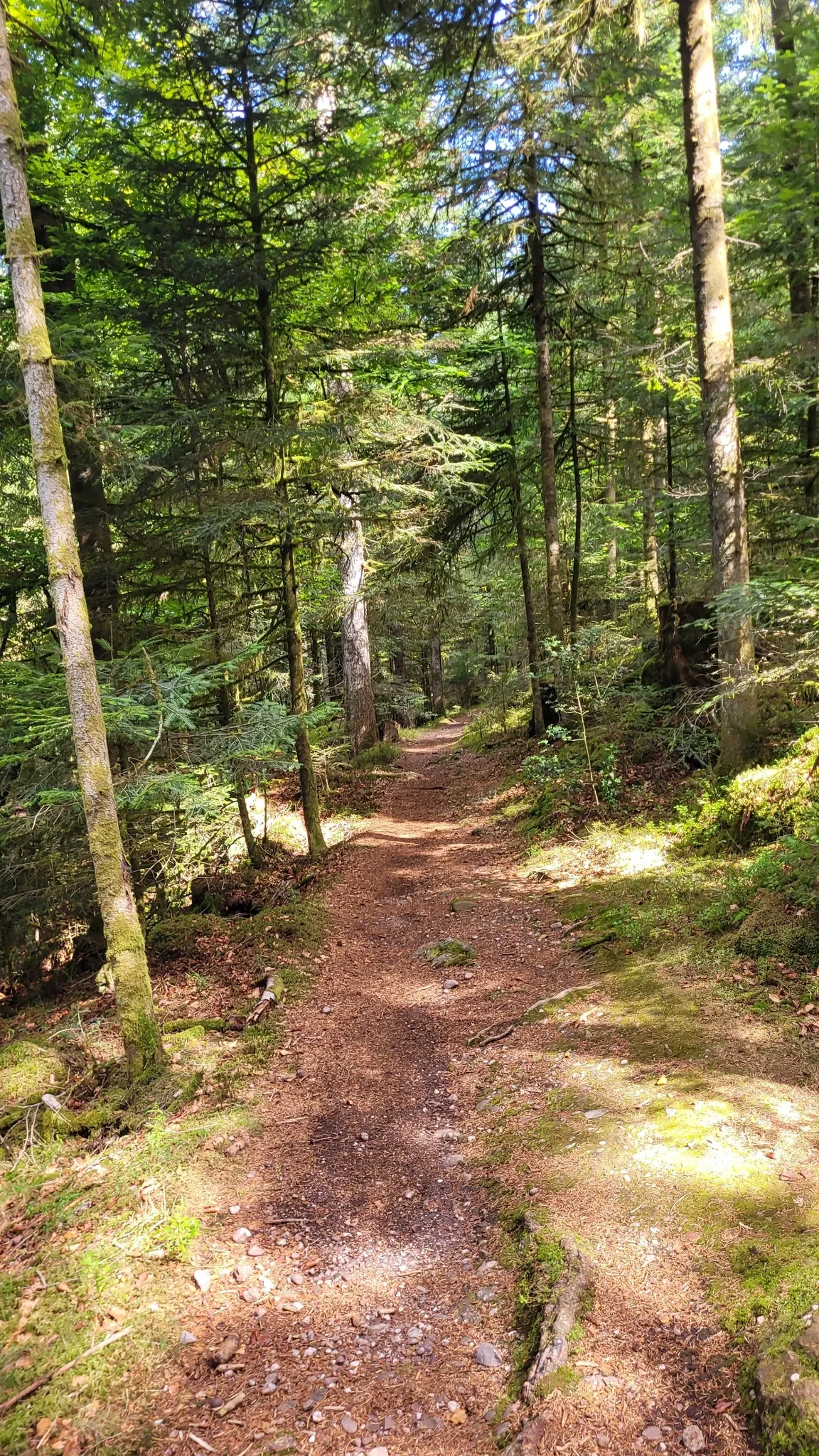 Sentiers du Trail Romarimontain